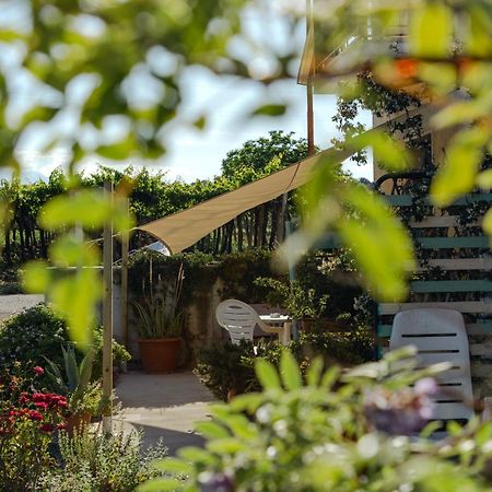 B&B La Ciammaruca Pollutri Εξωτερικό φωτογραφία
