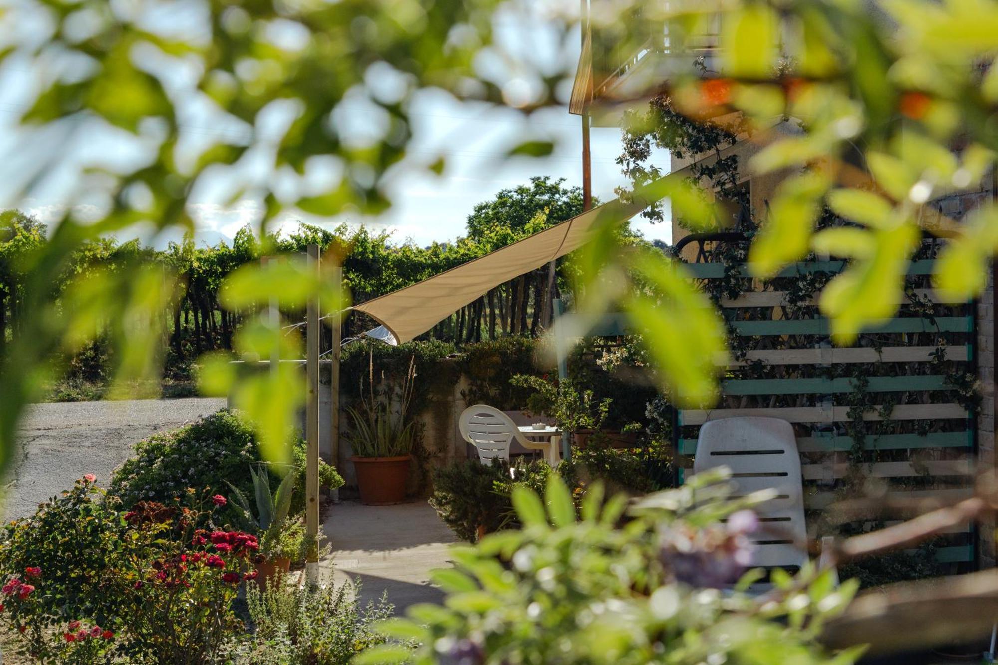 B&B La Ciammaruca Pollutri Εξωτερικό φωτογραφία