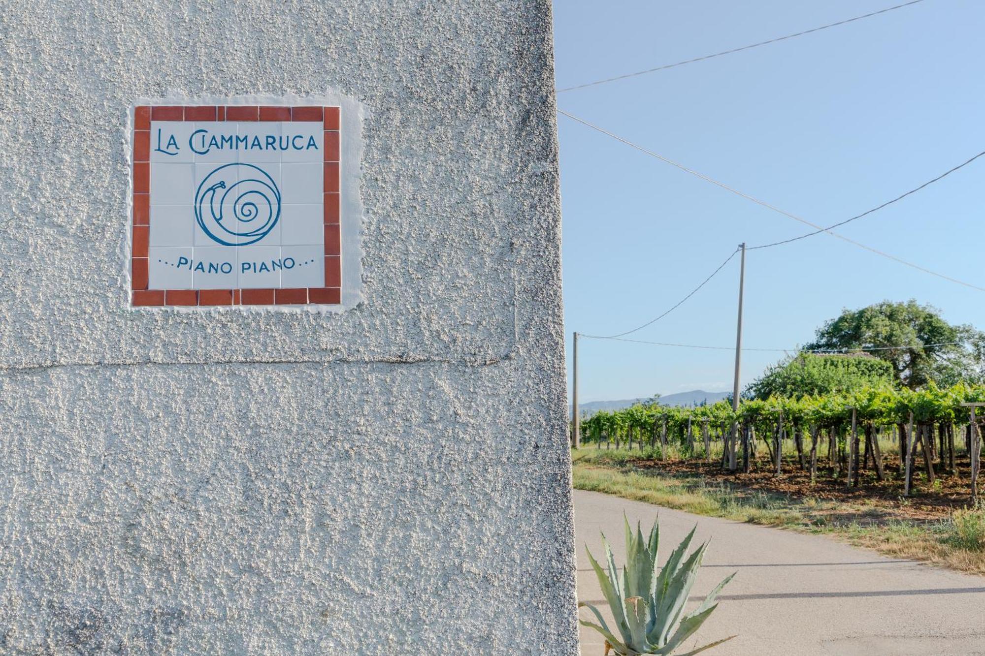 B&B La Ciammaruca Pollutri Εξωτερικό φωτογραφία
